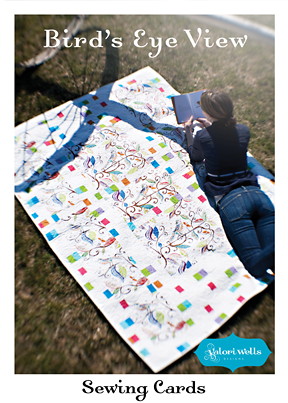 birds eye view quilt valori wells